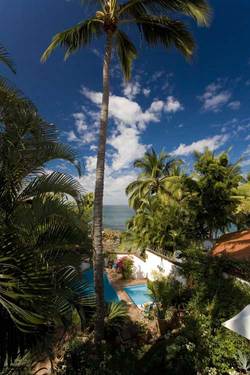 Villa Corazón Picture 38 - Jkimg-9900-cr19t
