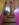 Casadospeces_11