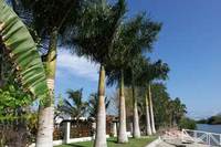 Douglas