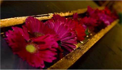 Villa Encanto Picture 22 - Kl---flowers-in-boxes