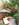 6-casa-flores-welcome-garden