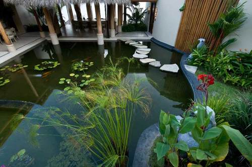 Villa Koi Picture 44 - Waterworld
