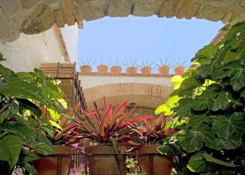 Villa La Torre Picture 16 - Pimg-5808-cr8t