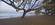 Beach-ocean-view-