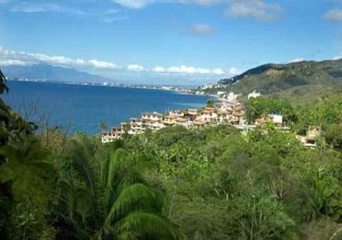 Palos-altos-hillside